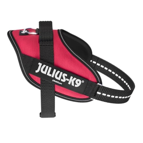 Arnés IDC Power, Tamaño: S/Mini, Viva Magenta