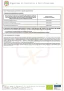 Olio Extravergine di Oliva EVO | 100% Italiano DOP | Renda, Sicilia (Latta da 5 litri) - 2