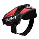 Julius-K9 IDC Powerharness, Red, L/1 - 3