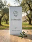 Olio Extravergine di Oliva 100% Italiano – Calabria Ionica – Blend Pregiato di Carolea, Pendolino e Cultivar Locali – Estratto a Freddo – IURACE - 2