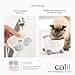 Catit Pixi Filtro para bebederos fuente, 6 unidades - 4