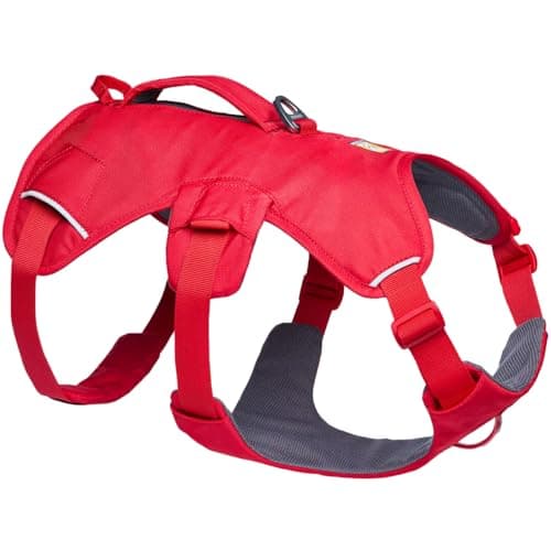 Ruffwear Web Master Dog Harness, Y Front Dog Harness with Handle and Improved Buckle, Adjustable and Lightweight for Walking and Hiking, Escape Proof No Pull, Red Canyon, Small