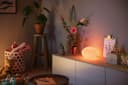 Philips Hue White & Color Ambiance Tischleuchte Flourish, dimmbar, 16 Mio. Farben, steuerbar via App, kompatibel mit Amazon Alexa (Echo, Echo Dot) - 9