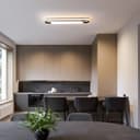 Modern LED Smart Ceiling Light,72cm Flush Mount Ceiling Lamp, (5-40) x2W Dimmable Linear Metal Ceiling Chandelier Light Fittings for Living Room Bedroom Dining Room Office Hallway Closet Aisle - 8