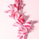 L'Imperatrice de Dolce & Gabbana Eau De Toilette para mujer, 100 ml - 4