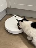 Cat Mate Alimentatore automatico per animali domestici a cinque pasti con inserti in acciaio inox e impacchi di ghiaccio (C500) - 3
