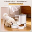 Nobleza Distributore per Gatti 2 in 1 con Fontana - Dispenser gravità Cibo 2.2L e Acqua 1L, Igienico Salvaspazio, Senza Elettricità, Design Moderno (Grigio) - 7