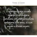 Terre di Lidia - Olio extravergine di oliva - 1 Latta da 5 L- Filiera corta, Campagna 2025/2026, Estratto a freddo - Varietà Coratina, Gusto Intenso - Produzione 100% italiana - 8