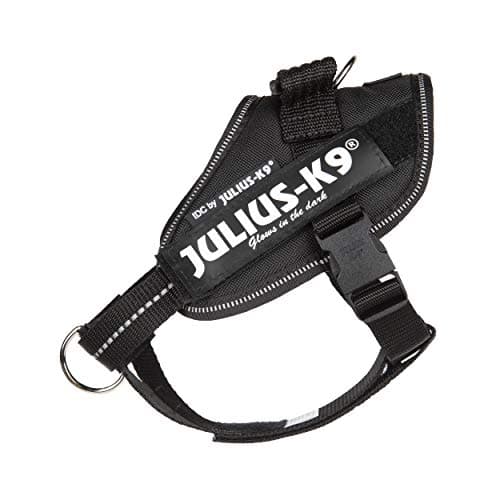 Julius-K9 IDC Powerharness, Dog Harness with Front Control Y-Belt, Black, Size: XS/Mini-Mini