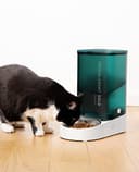 PETKIT Futterautomat Katze, 3L ,Automatischer Futterspender für Katze und Hund, 1-10 Mahlzeiten/Tag, 1-15 Tag,304 Edelstahlschüssel,Fresh Lock-Technologie - 7