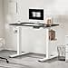 FLEXISPOT Scrivania Regolabile in Altezza 120x80 cm, Standing Desk Elettrica con Pannello Intero, Spessore 25mm, Telaio in Acciaio Massiccio a 2 Stadi, Motore Potente, Gancio Laterale - 2