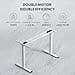 FLEXISPOT Scrivania Elettrica Regolabile in Altezza con Doppio Motore e Porta USB, Piano Monoblocco da 25 mm, Gambe a 3 Sezioni, Portata 120 kg, 4 Memorie, Rilevamento Ostacoli, 140×80 cm - 3