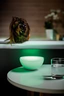 Philips Hue Go Tragbare Farbwechsel LED Smart Tischlampe (Kompatibel mit Amazon Alexa, Apple HomeKit und Google Assistant) - 8