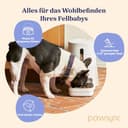 Pawsync Smart Futterautomat, Farbwechselnde Erinnerung, Haustierfutter-Trockenmittel hält Futter trocken & frisch, bis zu 3 Monate, App-Benachrichtigungen, Cremeweiß - 8