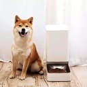 XIAOWAN - Distributore automatico di cibo per cani, Dispenser cibo per animali domestici, controllo remoto con app Xiaomi Home, erogazione programmabile - 2