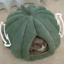 Grotta per gatti per interni, cuccia a igloo, cuccia per cuccioli di gattino, calda e accogliente, con cuscino rimovibile e lavabile (35 x 35 x 30 cm) - 5