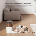 IMIPAW Futterautomat Katze, Katzenfutter Automat mit Programmierbarem Timer, Einfache Bedienung, 1-6 Mahlzeiten pro Tag, Futterspender für Katzen und Hunde, 3L - 5