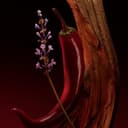 Boss The Scent Magnetic Eau de Parfum For Her 30ml - 5