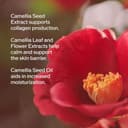 Shi.seido Ultimune Power Infusing Serum, Siero Viso, 75 ml - 7