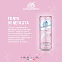 Acqua Minerale San Benedetto, Acqua Minerale Naturale Oligominerale microbiologicamente pura, in lattina da 33 cl - 6