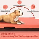 COOL PET Anpassbare Premium-Orthopädische VISCO-Memory-Foam Hundematratze mit wasserabweisendem Oxford D600 Bezug – abnehmbar, maschinenwaschbar und personalisiert (individuelle Größe, Name & Farbe) - 2