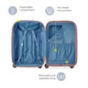 DELSEY PARIS St. Tropez Hardside - Valigia espandibile con ruote girevoli, platino, 3-Piece Set (21/24/28), St. Tropez Hardside Valigia Espandibile Con Ruote Spinner - 3