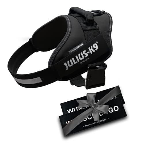 JULIUS K-9 IDC Powergeschirre Anthrazitgrau mit individuelle Klettaufschriften Bundle optionale Größe, Kleine, mittelgroße, und große Hunde, 16IDC+CUSTOMP-ANT