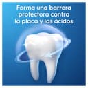 Oral-B Pro-Expert Protección Profesional Pasta Dentífrica, pack 12x75 ml, 75 ml (Paquete de 12) - 6