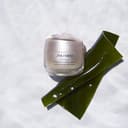 Shiseido Benefiance Anti-Aging-Creme, 50 ml - 3