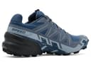 Salomon Men's Speedcross 6 Gore-TEX Sneaker, Spellbound, 9 - 3