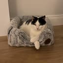 Petface Plush 2 in 1 Cat Cave, Luxury Bamboo Igloo Cat Bed, 35H x 35W x 35L cm - 7