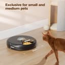 Distributore Automatico Cibo Gatti Umido: Dispenser Crocchette Gatto - Dosatore Crocchette per Gatti senza Fili - Dispenser Cibo Gatto 3AA Batteria - Distributore per Cani Timer - Refrigerazione - 6
