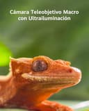 HUAWEI Pura 80 Pro Smartphone Móvil, 12 GB+512 GB, Ultra Chroma con Sensor de 1 Pulgada, Cámara Teleobjetivo Macro con Ultrailuminación, Cancelación de Ruido Mediante IA, 5170 mAh, Rojo - 5