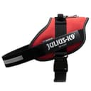 Julius-K9 16IDC Power Harness - 3