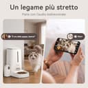 DAISTERN Distributore Automatico Cibo WiFi per Gatti e Cani con Telecamera HD 1080P, Dispenser Crocchette con Camera Rimovibile, Visione Notturna, Supporto 2,4G/5G, AI Funzione, Tuya App - 8