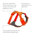 RUFFWEAR Pettorina Front Range, Pettorina per cani extra large, Pettorina a Y riflettente, Pettorina regolabile e imbottita per passeggiate quotidiane e corsa per cani, XXS, Blaze Orange - 3