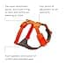 RUFFWEAR Pettorina Front Range, Pettorina per cani extra large, Pettorina a Y riflettente, Pettorina regolabile e imbottita per passeggiate quotidiane e corsa per cani, S, Blaze Orange - 3
