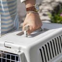 Ferplast Trasportino per Gatti e Cani Taglia Piccola fino a 3 Kg, ATLAS 5 in Plastica, Porta in Ferro Plastificato, Fessure di Aerazione, 28 x 41,5 x h 24,5 cm - 5