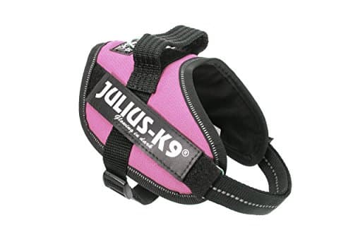 Julius K9 16IDC-PN-M IDC Power Harness with Logo Field, Mini, Pink