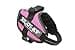 Julius K9 16IDC-PN-M IDC Power Harness with Logo Field, Mini, Pink - 1