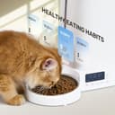 FUKUMARU Automatic Cat Feeder, Timed Pet Feeder for Cats and Dogs with 2 Bowls, 4L Dry Food Dispenser Support Programmable Portion Control, 6 Daily Meals - 7