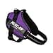 JULIUS-K9 IDC Powerharness, Size: S/Mini, Dark Purple - 4