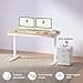 FLEXISPOT Q3 Standing Desk, Home Office Electric Height Adjustable Sit-Stand Desk with Drawer & Fast USB Chargers (Maple, 140 x 70 cm) - 5
