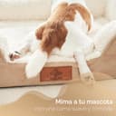 VEEL VEEL PET Premium Cama para Perro Mediano anatómica con Espuma Memory Foam viscoelástica certificada ortopedica | Dog Bed Cama Perro Lavable Desenfundable Antiestres | Funda Impermeable (Medium) - 4