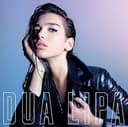 LIPA, DUA - DUA LIPA (PINK MARBLE LP) (1 LP) [Vinyl LP] - 1