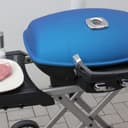 Grillrost.com Das Original Rejillas de Acero Inoxidable INOX para Napoleon Travel Q | aptas para el lavavajillas - Juego de 2 mitades - 6