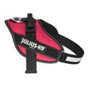 Arnés IDC Power, Tamaño: M/0, Viva Magenta - 1