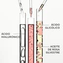 Kérastase Gloss Absolu Bain Hydra-Glaze, Champú Hydra-iluminador para Cabello Largo con Tendencia al Encrespamiento, con Ácido Glicólico, Ácido Hialurónico y Aceite de Rosa Silvestre, 250ml - 6