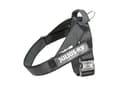Julius-K9, IDC Color & Gray Belt Harness, Size: L / 1, Black-Gray - 1