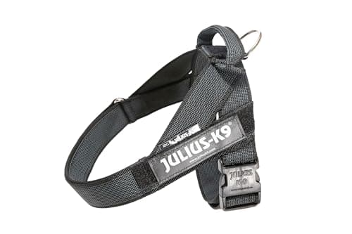 Julius-K9, IDC Color & Gray Belt Harness, Size: L / 1, Black-Gray
